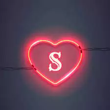 cute s letter dp